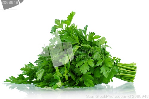 Image of Fresh parsley