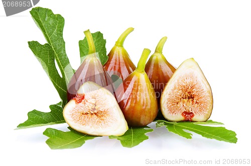 Image of Fresh figs