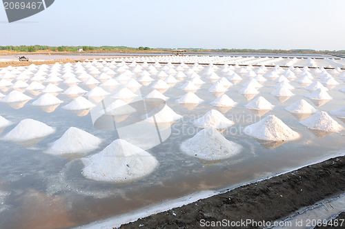 Image of Salt fields 