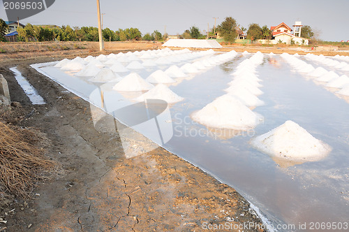 Image of Salt fields 