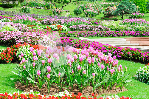 Image of Mae Fah Luang Garden