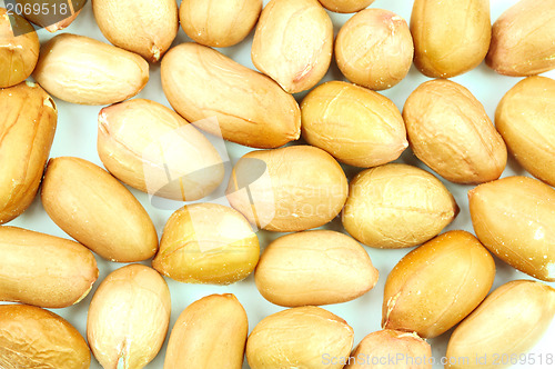 Image of Peanuts - close up , on white background