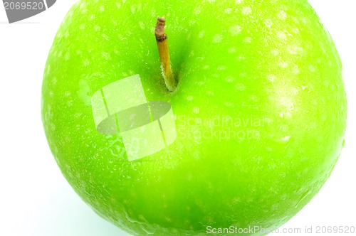 Image of fresh green apple on white background