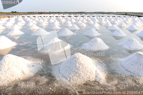 Image of Salt fields 