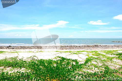 Image of The beach , Huahin Thailand