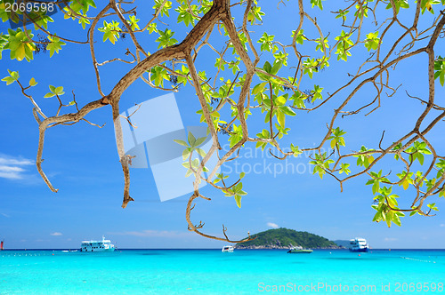 Image of Similan Islands Paradise Bay, Thailand 