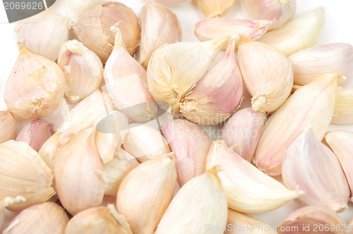 Image of Garlic Isolated on white background 