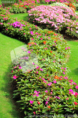 Image of Mae Fah Luang Garden