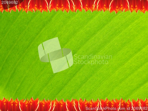 Image of green leaves frame isolated on white 