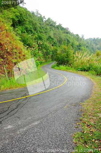 Image of Forest road. Landscape. 