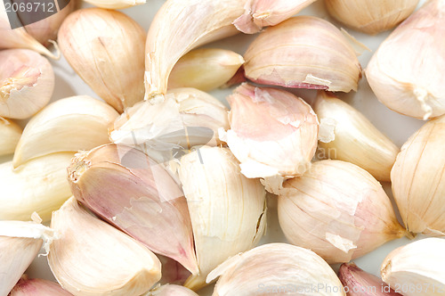 Image of Garlic Isolated on white background 