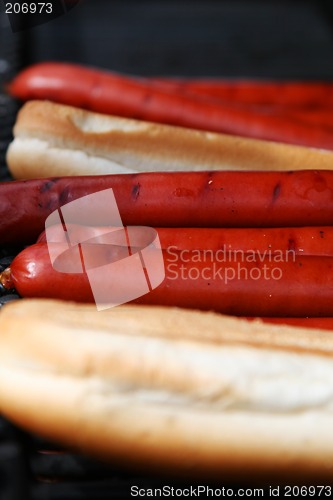 Image of hot_dogs