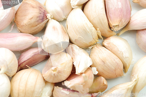 Image of Garlic Isolated on white background 