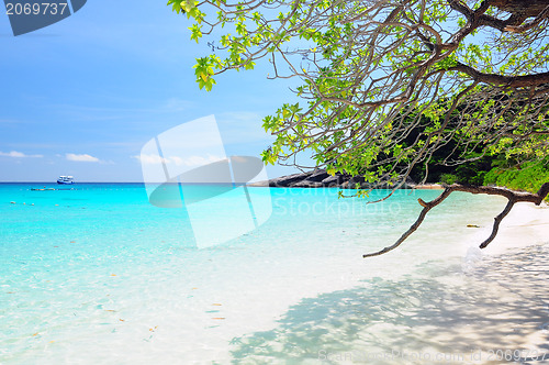 Image of Similan Islands Paradise Bay, Thailand 