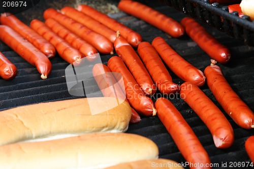 Image of hot_dogz