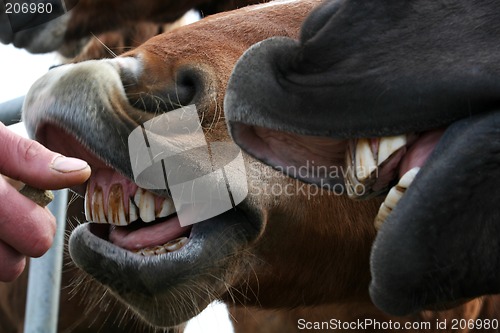 Image of bad_teeth