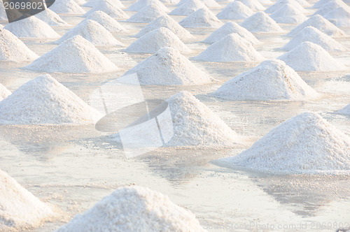 Image of Salt fields 