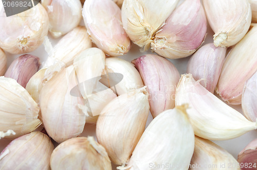 Image of Garlic Isolated on white background 