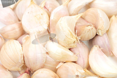 Image of Garlic Isolated on white background 