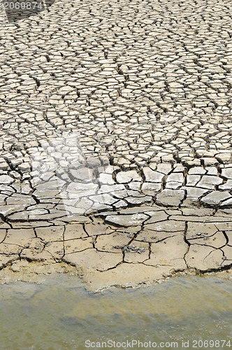 Image of Cracked soil in water. 