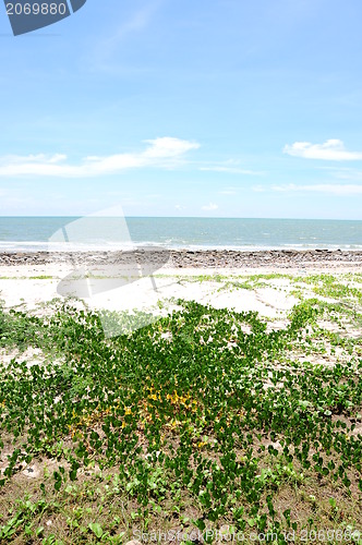 Image of The beach , Huahin Thailand