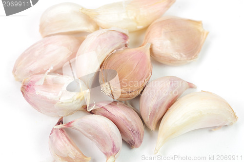 Image of Garlic Isolated on white background 