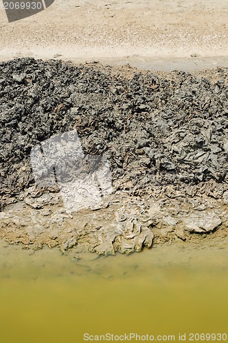 Image of Cracked soil in water. 
