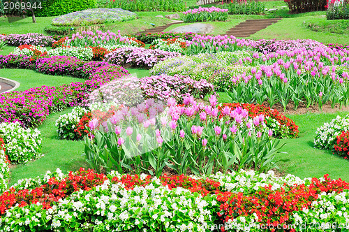 Image of Mae Fah Luang Garden