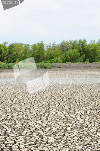 Image of Dry soil in arid areas 