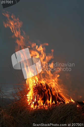 Image of bushfire