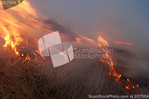 Image of smoke