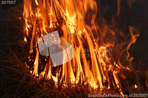 Image of burning_order