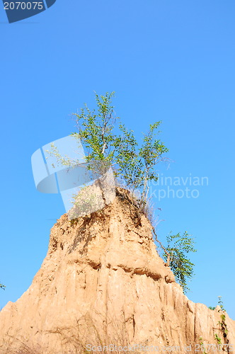 Image of Soil columns within the national park of Thailand 