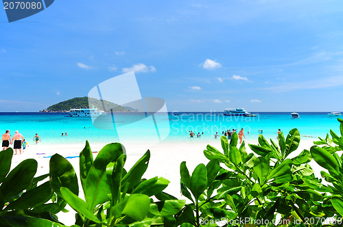 Image of Similan Islands Paradise Bay, Thailand 