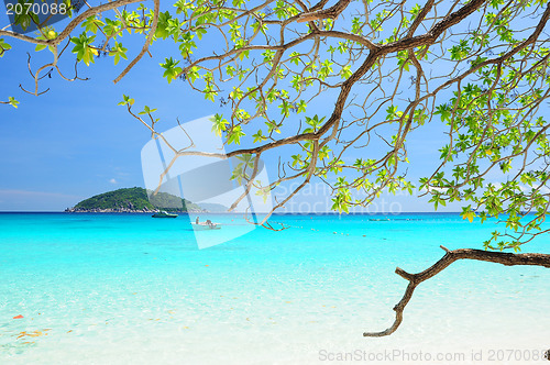 Image of Similan Islands Paradise Bay, Thailand 