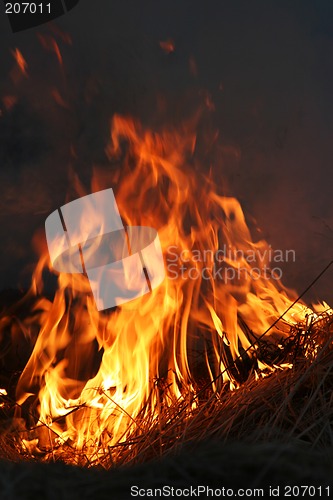 Image of cracking_fire