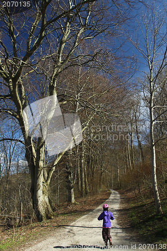 Image of danish landscape