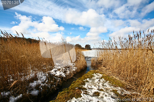 Image of Iced lake in denmark