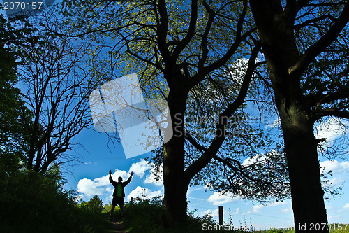 Image of Forest
