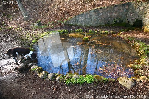 Image of danish landscape