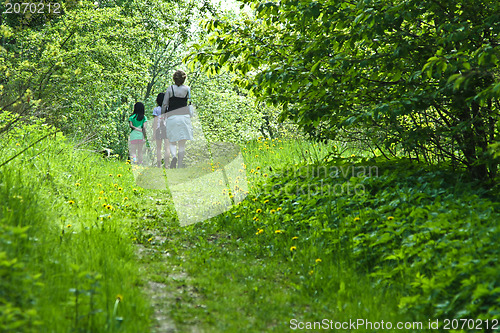 Image of Family walk