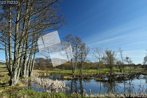Image of lake