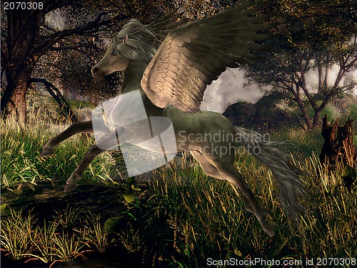 Image of Forest Pegasus