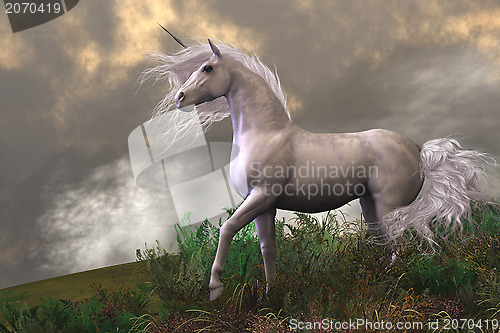 Image of White Unicorn Stallion