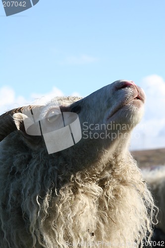 Image of smelling the air