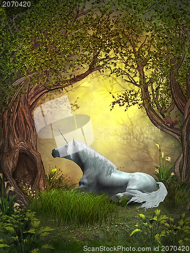 Image of Woodland Unicorn