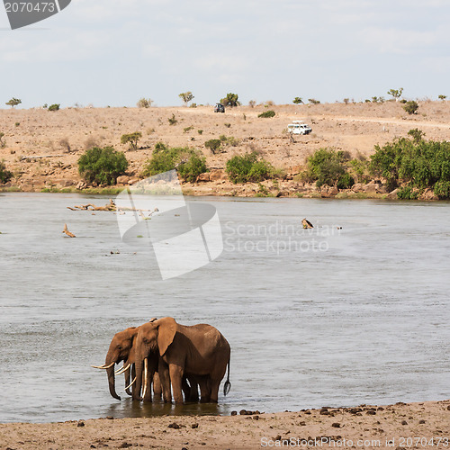 Image of Safari in Kenya