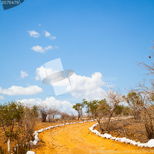 Image of Savana road