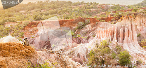Image of Marafa Canyon - Kenya