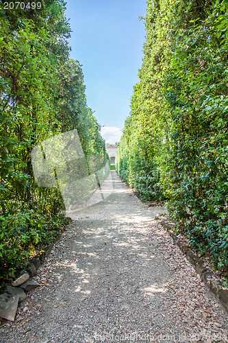 Image of Boboli Gardens